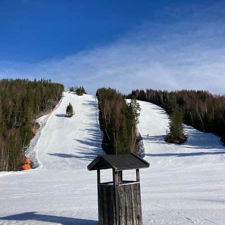 Rämsbyns fritidsby, 25 min till Romme Alpin Idkerberget Eksteriør billede